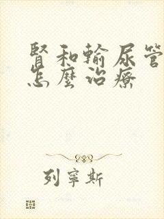 肾和输尿管结石怎么治疗