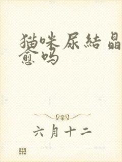 猫咪尿结晶能自愈吗