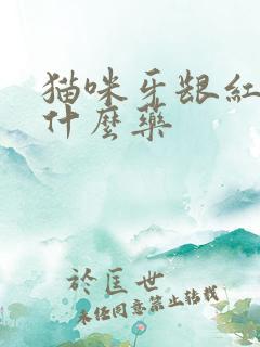 猫咪牙龈红肿吃什么药