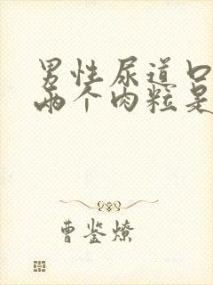 男性尿道口长了两个肉粒是怎么回事