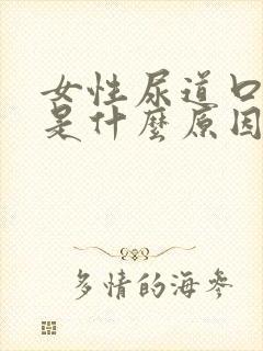 女性尿道口痒肿是什么原因