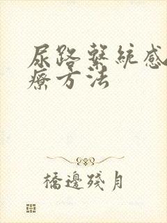 尿路系统感染治疗方法