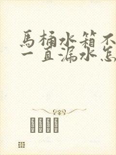 马桶水箱不上水一直漏水怎么办