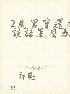 2岁男宝还不会说话怎么办