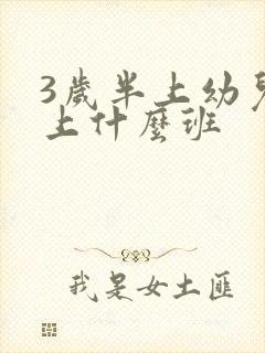 3岁半上幼儿园上什么班