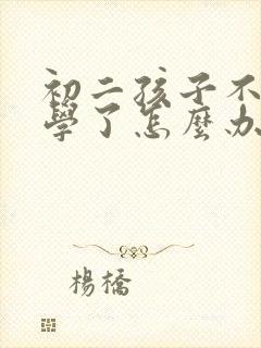 初二孩子不想上学了怎么办