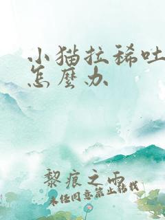 小猫拉稀吐黄水怎么办