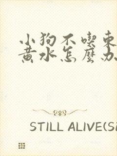 小狗不吃东西吐黄水怎么办