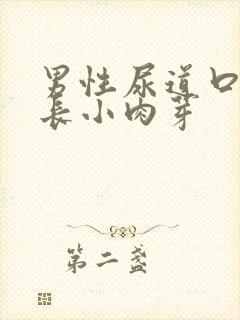 男性尿道口内侧长小肉芽