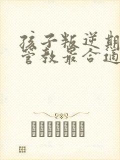 孩子叛逆期怎么管教最合适男孩家长怎么做