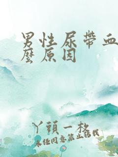 男性尿带血是什么原因