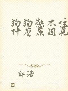 狗狗憋不住尿是什么原因见到主人