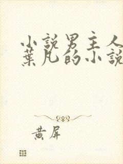 小说男主人公叫叶凡的小说名字