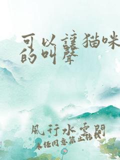 可以让猫咪过来的叫声