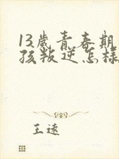 13岁青春期男孩叛逆怎样引导