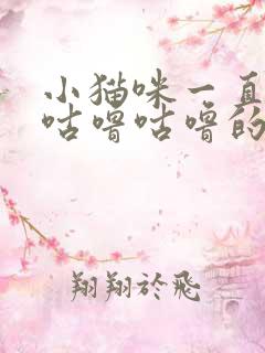 小猫咪一直发出咕噜咕噜的声音