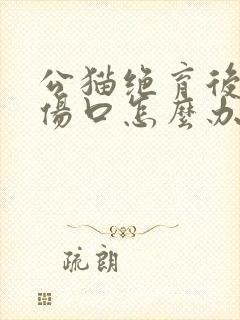 公猫绝育后舔了伤口怎么办