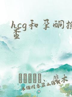 hcg和孕酮检查