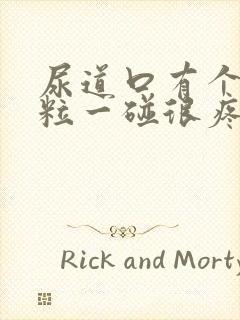 尿道口有个小肉粒一碰很疼