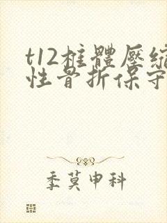 t12椎体压缩性骨折保守治疗