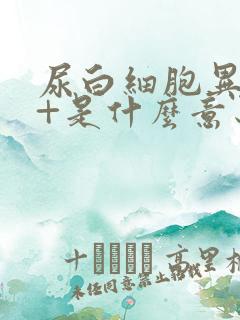 尿白细胞异常3+是什么意思