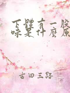 下体有一股腥臭味是什么原因