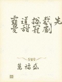 霸道总裁先婚后爱甜宠剧