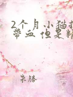 2个月小猫拉稀带血 但是精神很好