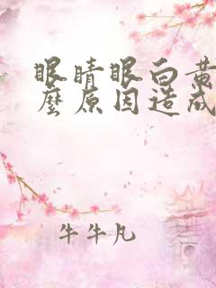 眼睛眼白黄是什么原因造成的