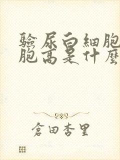 验尿白细胞红细胞高是什么原因女性