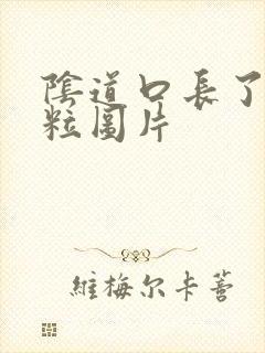 阴道口长了小肉粒图片