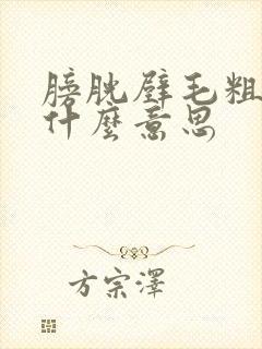 膀胱壁毛粗糙是什么意思