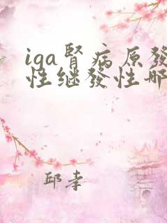 iga肾病原发性继发性哪个好治