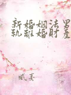 新婚姻法男方出轨离婚财产分割