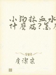 小狗拉血水了是什么病?怎么治