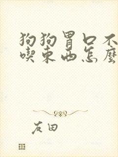 狗狗胃口不好不吃东西怎么办