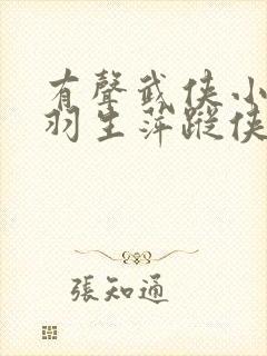 有声武侠小说梁羽生萍踪侠影