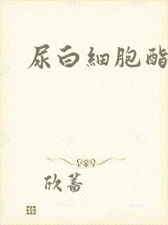 尿白细胞酯酶阳