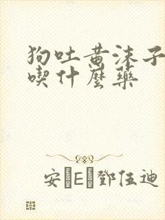 狗吐黄沫子粘液吃什么药