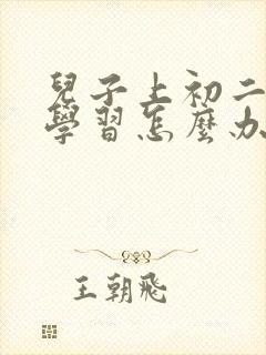 儿子上初二不想学习怎么办