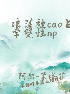 浪荡被cao日常双性np