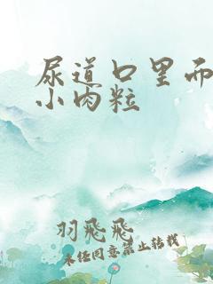 尿道口里面长了小肉粒