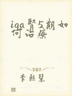 iga肾5期如何治疗