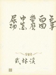 尿中带白色沉淀物怎么回事