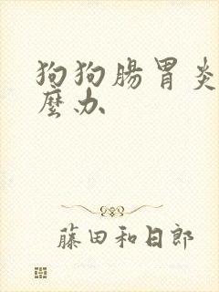 狗狗肠胃炎该怎么办