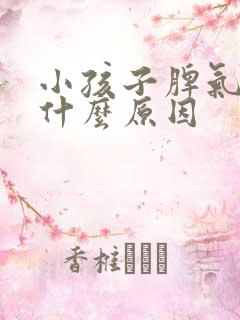 小孩子脾气暴躁什么原因