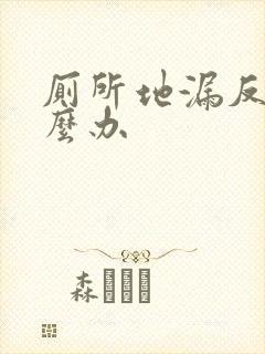 厕所地漏反臭怎么办