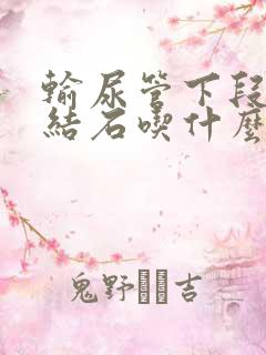 输尿管下段出现结石吃什么药