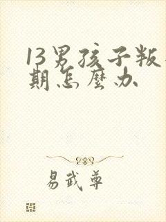 13男孩子叛逆期怎么办