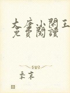 大唐小闲王李慎免费阅读